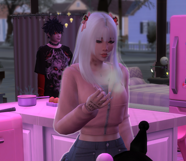mis sims
